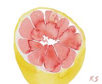 © Kate Schelter LLC 2023 | Half Grapefruit by Kate Schelter