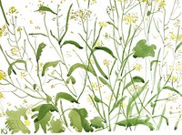 © Kate Schelter LLC 2023 | GSHI Maine yellow wild flowers 2019 by Kate Schelter