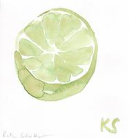 © Kate Schelter LLC 2023 | LIME by Kate Schelter