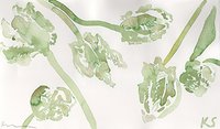 © Kate Schelter LLC 2022 | PARROT TULIPS WHITE by Kate Schelter