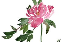 © Kate Schelter LLC 2023 | PEONY FUSCIA MAY STEM by Kate Schelter