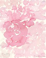 © Kate Schelter LLC 2023 | Pink peonies 4 by Kate Schelter